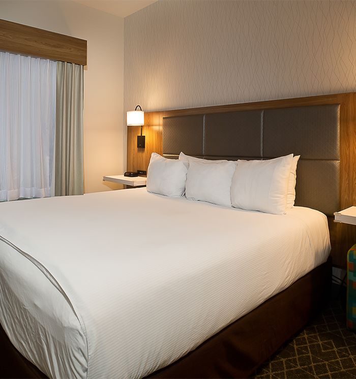 Hawthorn Suites By Wyndham-Oakland/Alameda 1 King Bed Accessible Suite